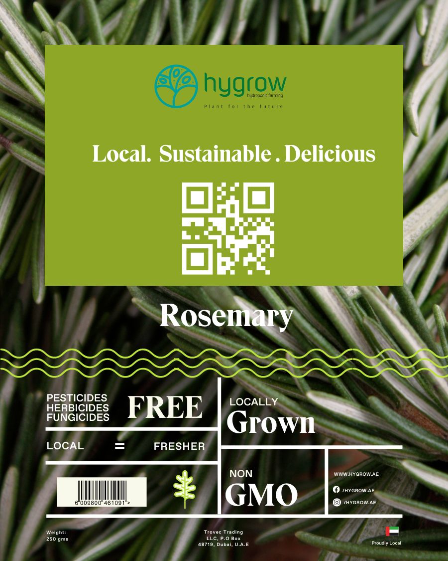 Hygrow Rosemary