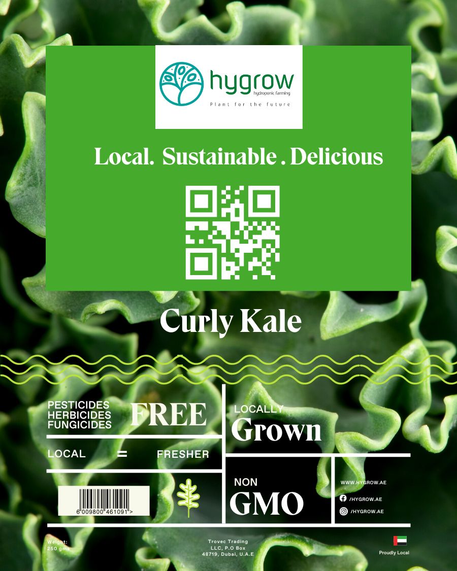 Hygrow Curly Kale