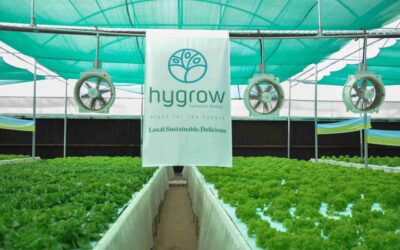 How Hygrow Is Reshaping Agriculture?